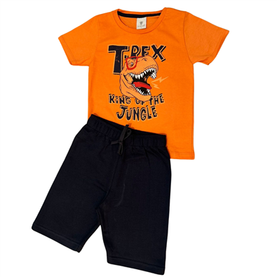 Conjunto Infantil Masculino Dino Vero